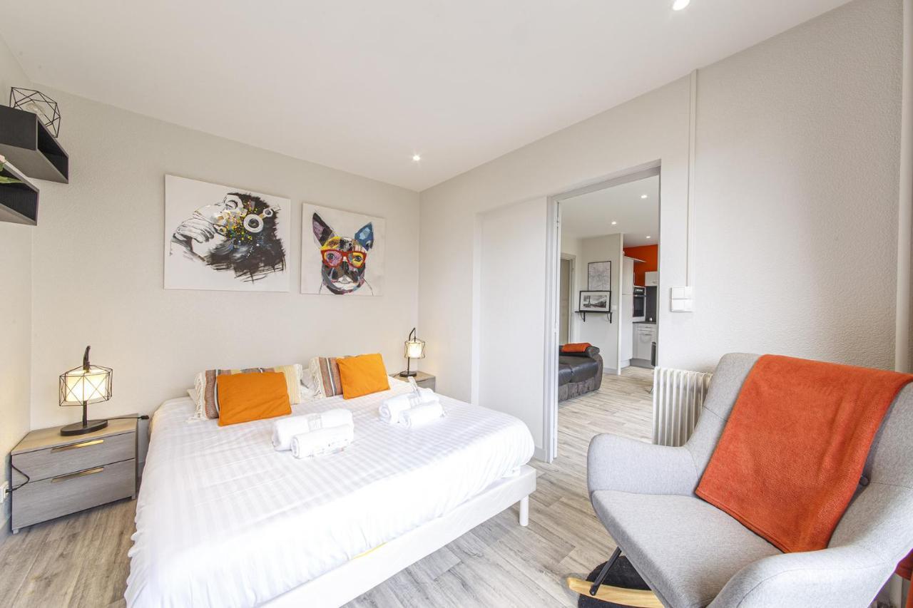 Chic Appartement Vue Sur Parc Au Calme Angers Buitenkant foto